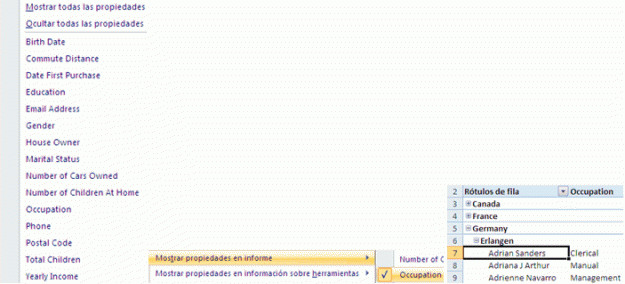 Mostrarpropiedadescampos