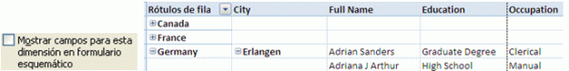 NoMostrarcamposesquematico